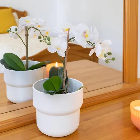 Appartamento Live Cristianos Square Los Cristianos (Tenerife)